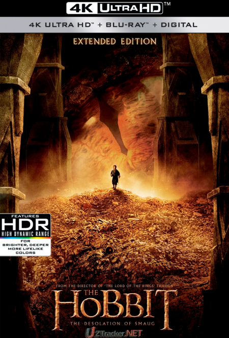 Хоббит: Пустошь Смауга / The Hobbit: The...